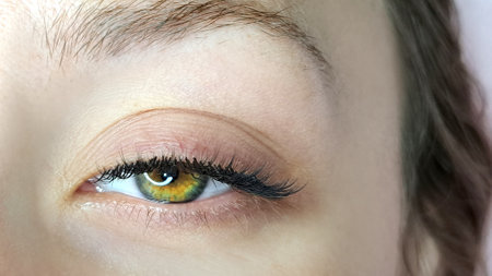 Close up of eye with eyelash extensionsの写真素材