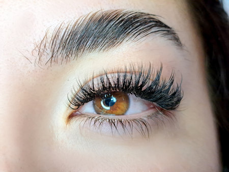 Close up of eye with eyelash extensions ,beauty salon treatment ,2d volume, 3d volume, classical lashes,Russian volume,megavolume, new set.の写真素材