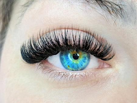 Close up of eye with eyelash extensions ,beauty salon treatment ,2d volume, 3d volume, classical lashes,Russian volume,megavolume, new set.の写真素材