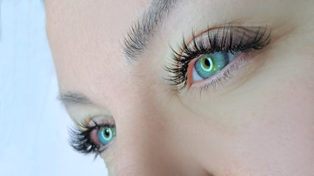 Close up of eye with eyelash extensions ,beauty salon treatment ,2d volume, 3d volume, classical lashes,Russian volume,megavolume, new set..の写真素材
