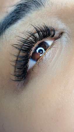 Close up of eye with eyelash extensions ,beauty salon treatment ,2d volume, 3d volume, classical lashes,Russian volume,megavolume, new set..の写真素材