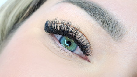 Close up of eye with eyelash extensions,beauty salon treatment,2d volume, 3d volume, classical lashes,Russian volume,megavolume, new set.の写真素材