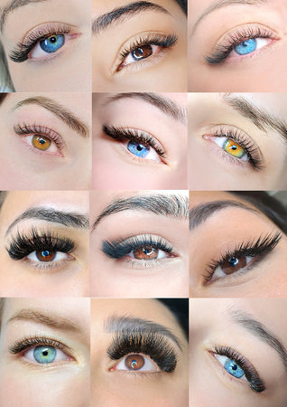 Close up of eye with eyelash extensions ,beauty salon treatment ,2d volume, 3d volume, classical lashes,Russian volume,megavolume, new set..の写真素材
