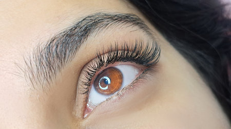 Close up of eye with eyelash extensions,beauty salon treatment,2d volume, 3d volume, classical lashes,Russian volume,megavolume, new set.の写真素材