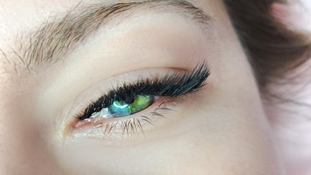 Close up of eye with eyelash extensions ,beauty salon treatment ,2d volume, 3d volume, classical lashes,Russian volume,megavolume, new set..の写真素材