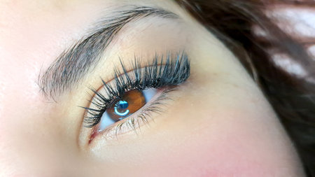 Close up of eye with eyelash extensions,beauty salon treatment,2d volume, 3d volume, classical lashes,Russian volume,megavolume, new set.の写真素材