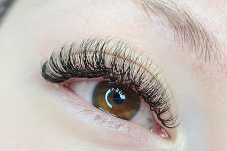 Close up of eye with eyelash extensions ,beauty salon treatment ,2d volume, 3d volume, classical lashes,Russian volume,megavolume, new set..の写真素材
