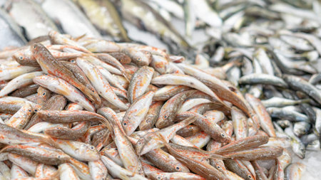 fresh fish on iced showcase on the seafood market.