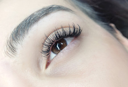 close up of eye with eyelash extensions, beauty salon treatment, whispy lashes.の写真素材