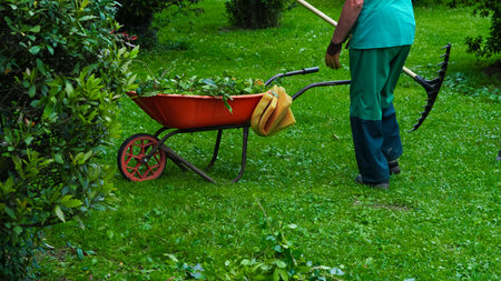 man in green suit collecting leaves in the garden, gardening.の写真素材