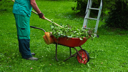 man in green suit collecting leaves in the garden, gardening.の写真素材