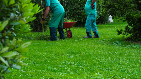man in green suit collecting leaves in the garden, gardening.の写真素材