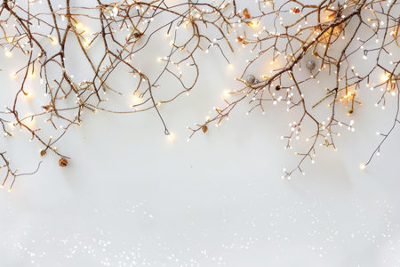 Rustic Christmas garland with dried oranges, pine branches, and cinnamon sticks on whiteの素材