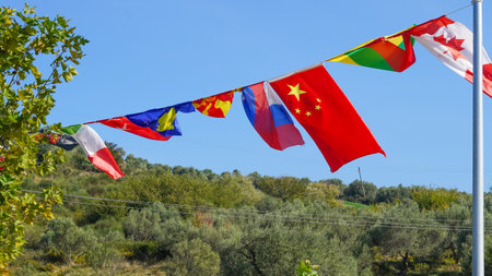 Flags waving in the breeze, showcasing vibrant colors and designsの写真素材