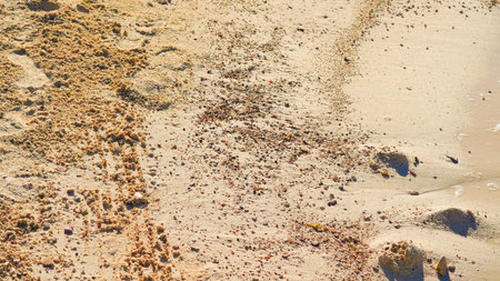 Smooth beach sand background with fine grains, natural texture, warm golden tones.