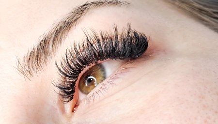 Close up of eye with eyelash extensions,beauty salon treatment,2d volume, 3d volume, classical lashes,Russian volume,megavolume, new set. High quality photoの写真素材