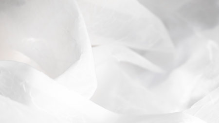 Ethereal white tulle veil background with translucent layers and soft light..の写真素材