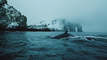 Whale surfacing in the ocean, a rare glimpse of a majestic marine mammalの素材