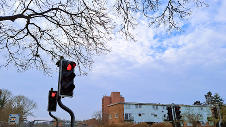 Vehicles drive through a lively urban street illuminated by traffic lights
