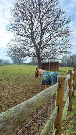 A horse in a warm coat in a pen on a farm in England, surrounded by rural scenery