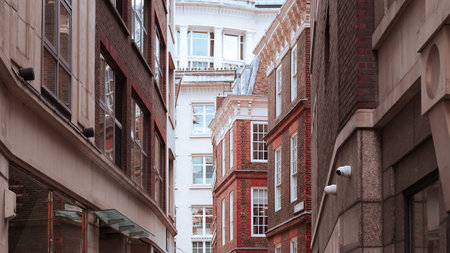 Elegant historical buildings in London with unique architectural charm.