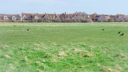 Beautiful English countryside surrounded by lush green grass, peaceful atmosphereの写真素材