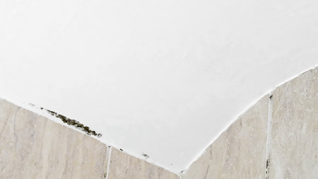 black mold spreading on a blue wall, showing moisture damageの写真素材