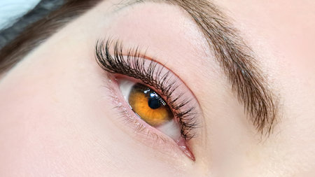 close up of eye with eyelash extensions in beauty salon macro eye top view.の写真素材