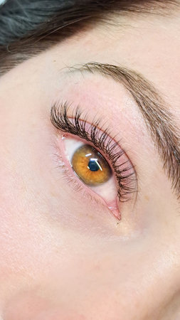 close up of eye with eyelash extensions in beauty salon macro eye top view.の写真素材
