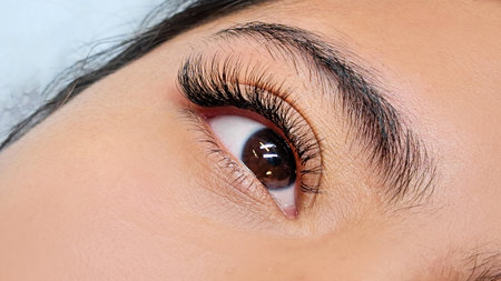 close up of eyelash extensions in beauty salon macro eye.の写真素材