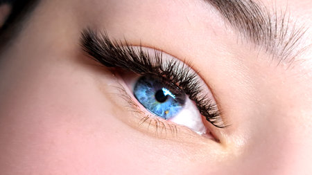 close up of eyelash extensions in beauty salon macro blue eye , l-curlの写真素材