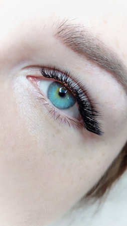 Close up of eye with eyelash extensions ,beauty salon treatment ,2d volume, 3d volume, classical lashes,Russian volume,megavolume, new setの写真素材