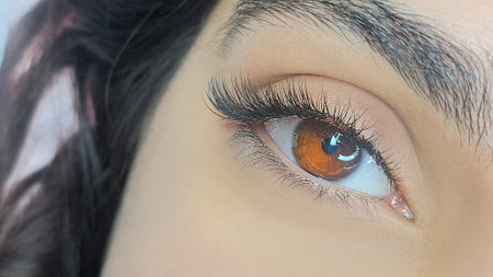 .Close up of female eye with eyelash extensions,eyelash extension Procedure.,2d volume, 3d volume, classical lashes,Russian volume,mega volume, new set.の写真素材