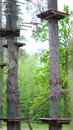 Children's rope adventure park in serene pine forest setting.の写真素材