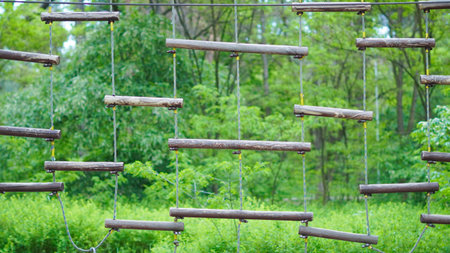 Outdoor rope park amidst pine trees designed for children's activities.の写真素材