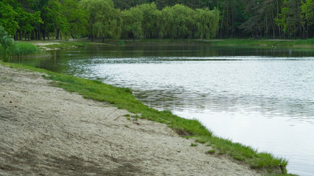 Calm lake with forest around and open picnic zones for summer visitors.の写真素材