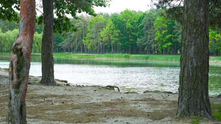 Quiet lake in wooded park area ideal for family picnic and relaxation.の写真素材
