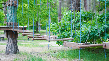 Children's rope adventure park in serene pine forest setting.の写真素材