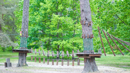 Rope course in pine woods offering safe climbing fun for children.の写真素材