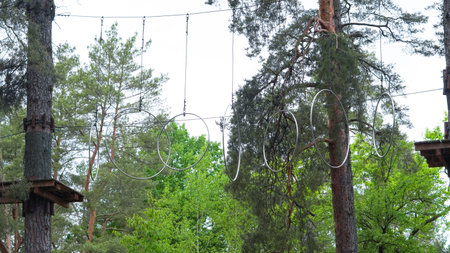 Empty children's rope park nestled in tranquil pine forest.の写真素材