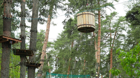 Empty children's rope park nestled in tranquil pine forest.の写真素材