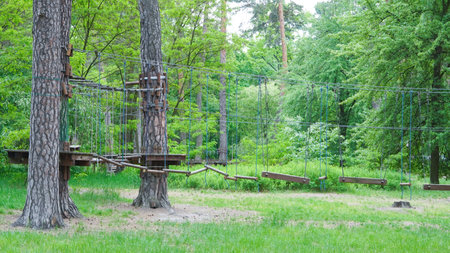 Empty rope park in pine forest designed for children's outdoor activities.の写真素材
