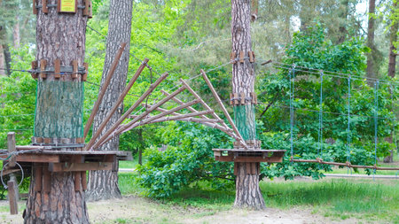 Outdoor rope park amidst pine trees designed for children's activities.の写真素材