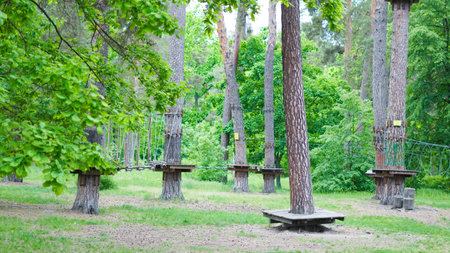 Children's rope adventure park in serene pine forest setting.の写真素材