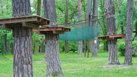 Outdoor rope park amidst pine trees designed for children's activities.の写真素材