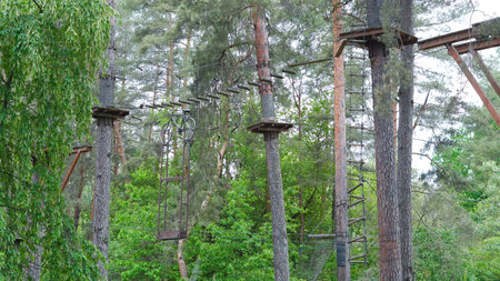 Empty children's rope park nestled in tranquil pine forest.の写真素材