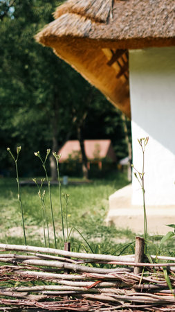 Ukrainian ethnic village architecture preserved as cultural heritage.の写真素材