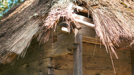 Traditional Ukrainian hut in a quiet village with historical ambiance.の写真素材