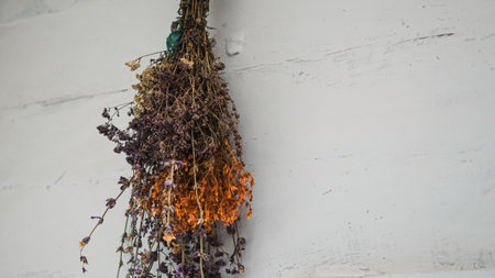Dried herbs hanging on wooden wall in rustic Ukrainian traditional houseの写真素材