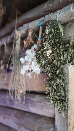 Natural herbs hanging to dry in a rustic Ukrainian wooden house interior.の写真素材